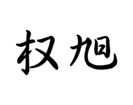 权旭商标原图 第09类科学仪器