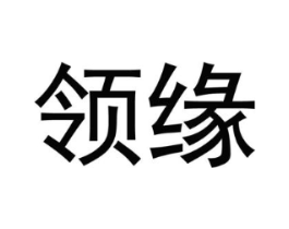 领缘商标原图 第09类科学仪器