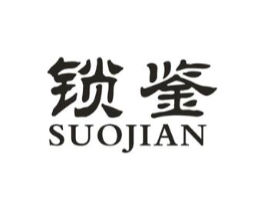 锁鉴商标原图 第09类科学仪器
