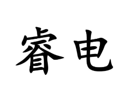睿电商标原图 第09类科学仪器