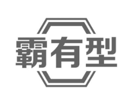 霸有型商标原图 第09类科学仪器