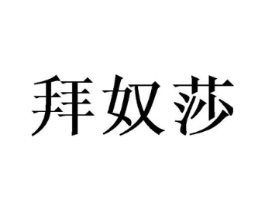 拜奴莎商标原图 第09类科学仪器