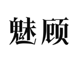 魅顾商标原图 第09类科学仪器