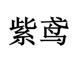 紫鸢商标原图 第09类科学仪器