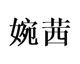 婉茜商标原图 第09类科学仪器
