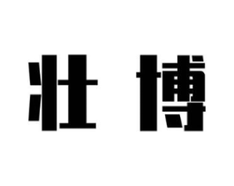 壮博商标原图 第09类科学仪器