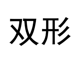双形商标原图 第09类科学仪器