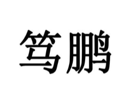 笃鹏商标原图 第09类科学仪器