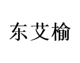 东艾榆商标原图 第09类科学仪器