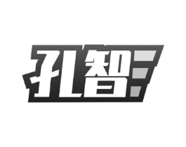 孔智商标原图 第09类科学仪器
