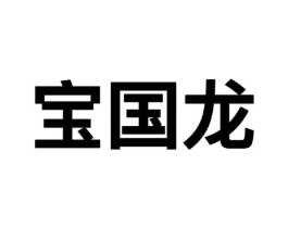 宝国龙商标原图 第09类科学仪器