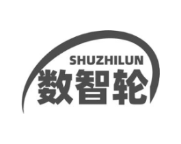 数智轮商标原图 第09类科学仪器