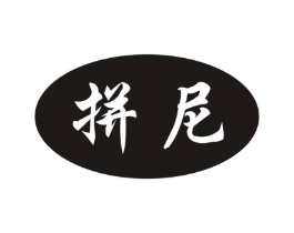 拼尼商标原图 第09类科学仪器