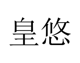 皇悠商标原图 第09类科学仪器