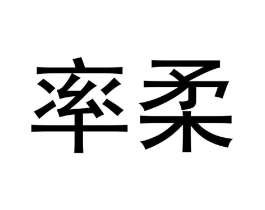 率柔商标原图 第09类科学仪器