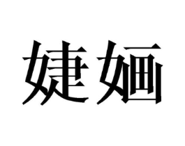 婕婳商标原图 第09类科学仪器