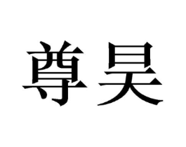 尊昊商标原图 第09类科学仪器