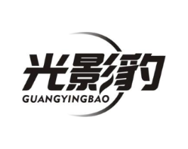 光影豹商标原图 第09类科学仪器