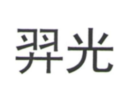羿光商标原图 第09类科学仪器