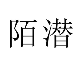 商标原图
