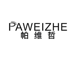 帕维哲商标原图 第09类科学仪器