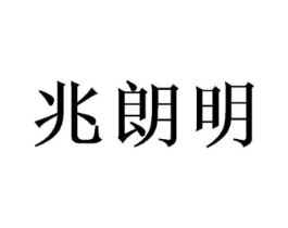 兆朗明商标原图 第09类科学仪器