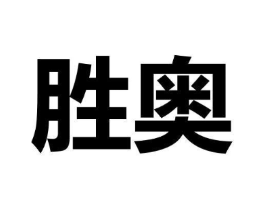 胜奥商标原图 第09类科学仪器