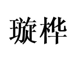璇桦商标原图 第09类科学仪器