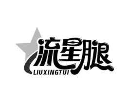 流星腿商标原图 第09类科学仪器