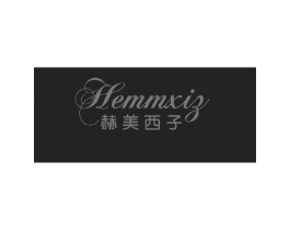 赫美西子 HEMMXIZ商标原图 第09类科学仪器