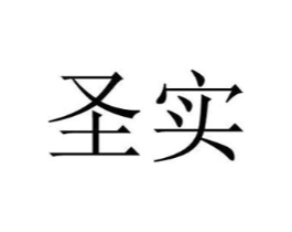 圣实商标原图 第09类科学仪器