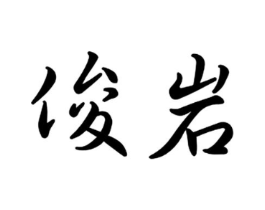 俊岩商标原图 第09类科学仪器