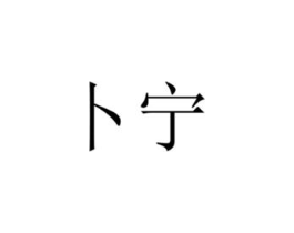 卜宁商标原图 第09类科学仪器