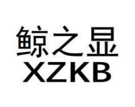 鲸之显 XZKB商标原图 第09类科学仪器