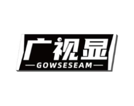 广视显 GOWSESEAM商标原图 第09类科学仪器