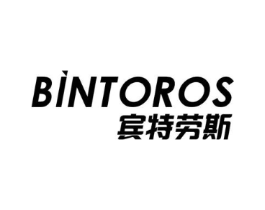 宾特劳斯 BINTOROS商标原图 第09类科学仪器