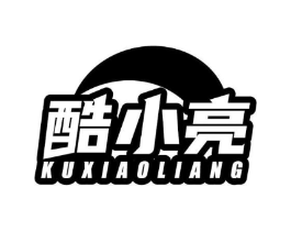 酷小亮商标原图 第09类科学仪器
