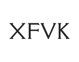 XFVK商标原图 第09类科学仪器