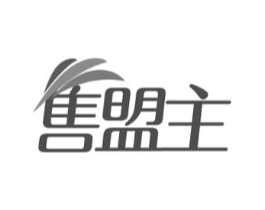 售盟主商标原图 第09类科学仪器