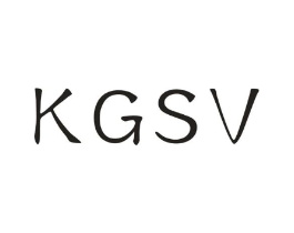 KGSV商标原图 第09类科学仪器