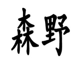 森野商标原图 第09类科学仪器