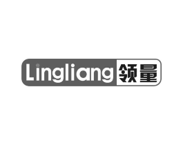 领量商标原图 第09类科学仪器