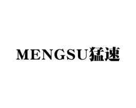猛速商标原图 第09类科学仪器