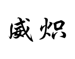 威炽商标原图 第09类科学仪器