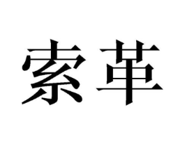 索革商标原图 第09类科学仪器