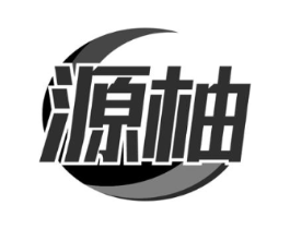 源柚商标原图 第09类科学仪器