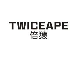TWICE APE倍猿商标原图 第09类科学仪器