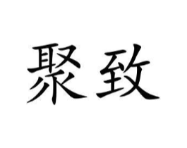 聚致商标原图 第09类科学仪器