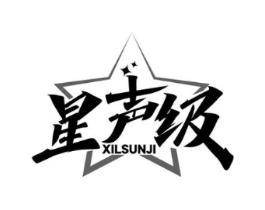 星声级 XILSUNJI商标原图 第09类科学仪器