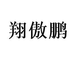 翔傲鹏商标原图 第09类科学仪器